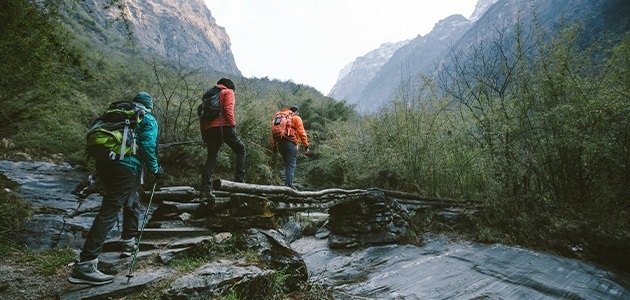 Three people hiking through nature